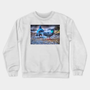 Pigeons Crewneck Sweatshirt